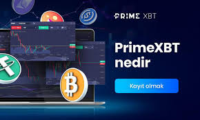 Understanding PrimeXBT Contacts Simplifying Your Trading Experience Understanding PrimeXBT Contacts Simplifying Your Trading Experience